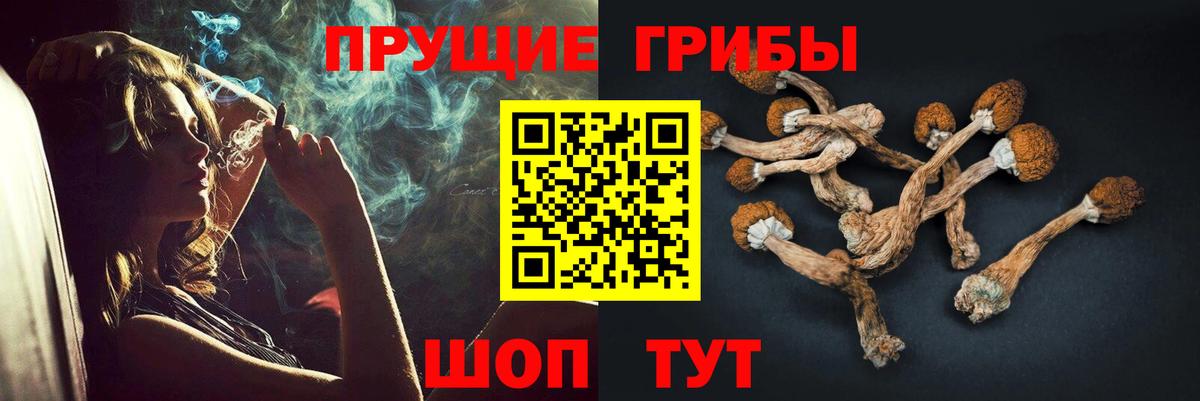 Галлюциногенные грибы Cubensis  продажа наркотиков  Хабаровск  Галлюциногенные грибы ЛСД  Вход с VPN 