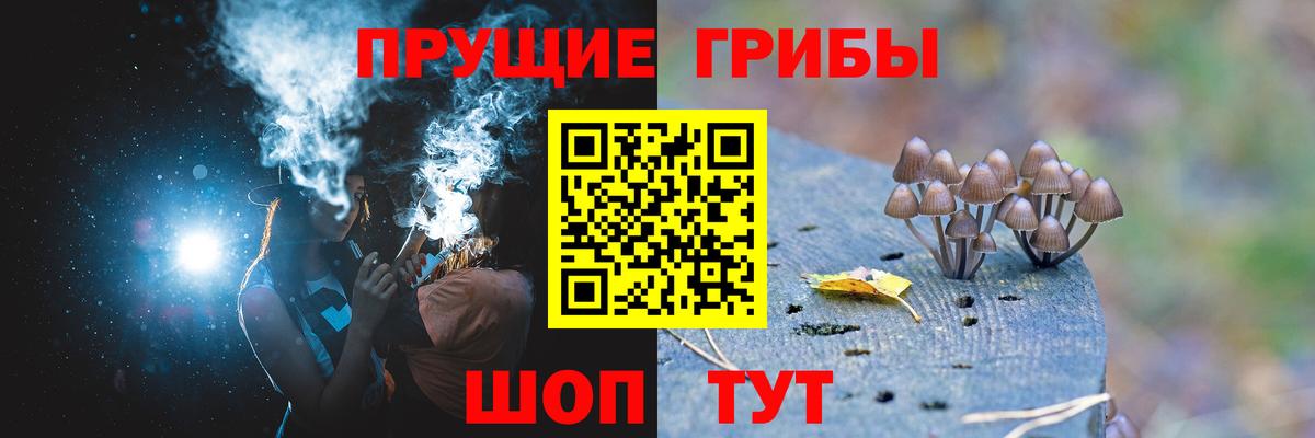 Галлюциногенные грибы Psilocybine cubensis Хабаровск